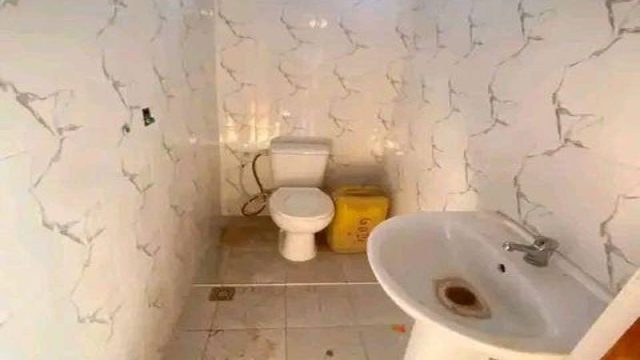 photo_reduite_1